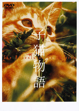 子猫物語