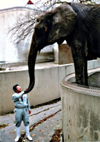 奇跡の動物園~旭山動物園物語~