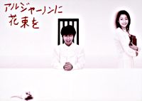 アルジャーノンに花束を DVD-BOX
