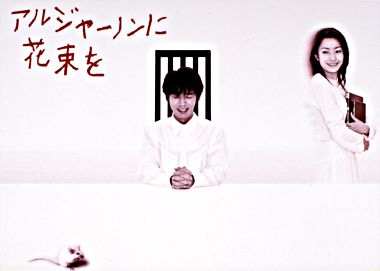 アルジャーノンに花束を DVD-BOX