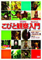 こびと観察入門 カブト タケノ ノミビョウタン編