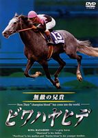 ビワハヤヒデ 無敵の兄貴