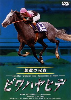 ビワハヤヒデ 無敵の兄貴