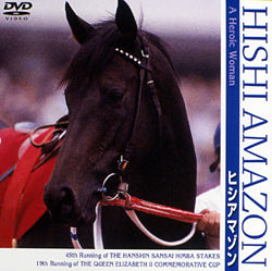 ã'ã·ã¢ãã¾ã³ A Heroic Woman ããã¼ãã£ããªã³