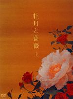 牡丹と薔薇 DVD BOX 上