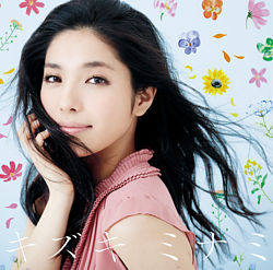 ミナミカゼ 城南海 ポニーキャニオン