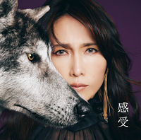 感受 Shizuka Kudo 35th Anniversary self-cover album