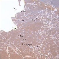 see you, frail angel. sea adore you.(CD Only)