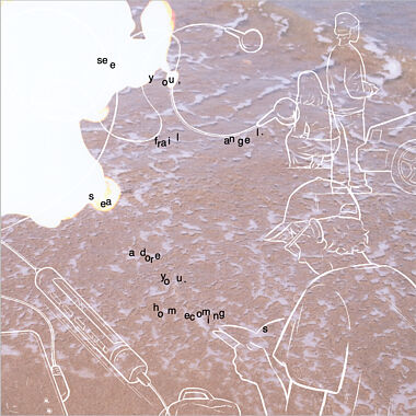 see you, frail angel. sea adore you.(CD Only)