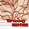 プラチナムベスト GRAPEVINE~Chronology(UHQCD)
