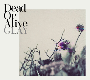 Dead Or Alive(CD+DVD)