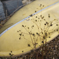 トゥー・ドゥリフターズ