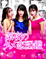 深夜のダメ恋図鑑
