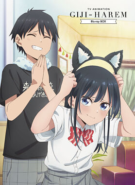 TVアニメ「疑似ハーレム」Blu-ray BOX