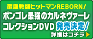 家庭教師ヒットマンＲＥＢＯＲＮ！ 　　　　　　ボンゴレ最強のカルネヴァーレコレクションＤＶＤ