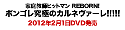 家庭教師ヒットマン REBORN! ボンゴレ究極のカルネヴァーレ!!!!!